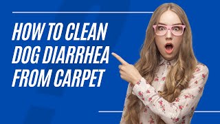 How to Clean Dog Diarrhea from Carpet❤️2024 - #doglover #doglife #petcleaning