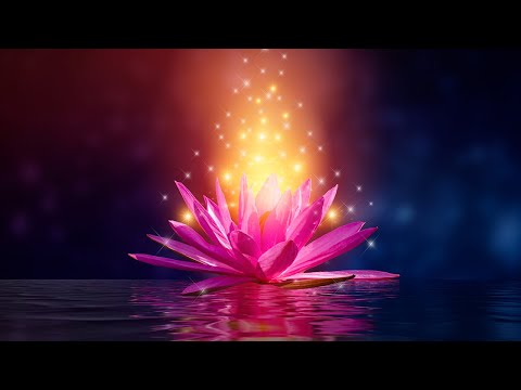 Manifest Miracles Raise Your Vibration, Elevate Happiness ...