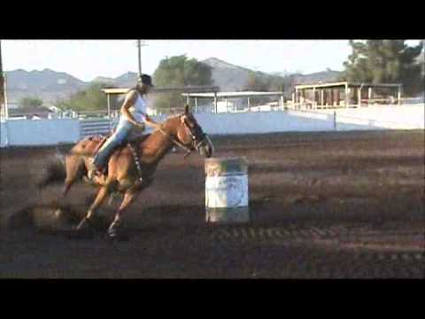 2012-06-16 Pam DiMaggio and Frenchys First Charm.wmv