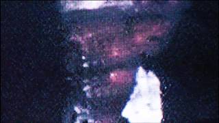 REAL Reptilian Face! Stunning Actual Serpent Features!