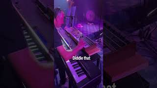 Diddle that key! #jamband #groove #funk #alexandriabay