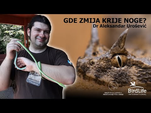 [07] Gde zmija krije noge? - dr Aleksandar Urošević