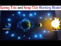 Spring Tide And Neap Tide Working Model Geography Model Diy Simple And Easy Steps Howtofunda