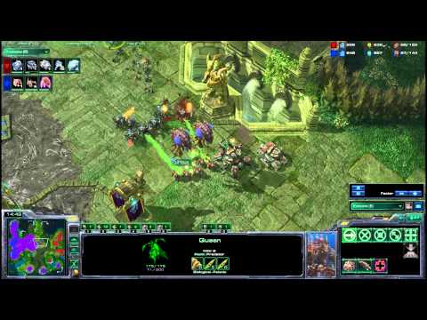 HDWT Semifinal B: Sen v Strelok g4