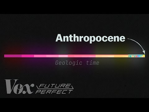 The debate over the Anthropocene, explained