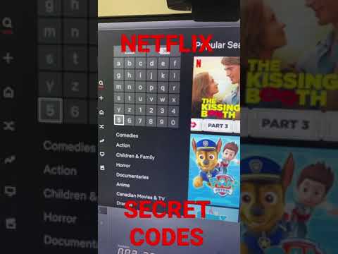 Netflix Secret codes