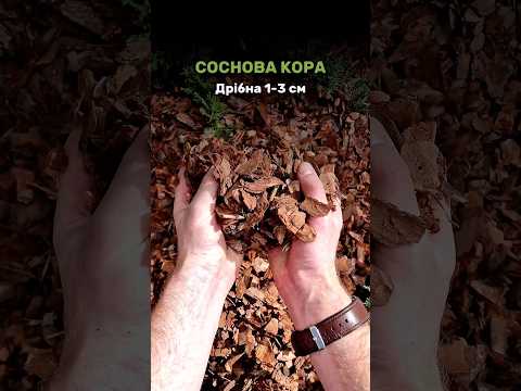 Только ОПТ! Кора сосновая, фракция 3-6 см - СРЕДНЯЯ - фото 2 - id-p1390544422