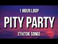 Melanie Martinez - Pity Party (1 Hour Loop) 