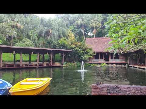 LATEST SPOTIFY SONG PLAYLIST COLLECTION 2025 - I'M READY BEFORE THE RAIN, ALAMAK, IDGITAF | NO ADS