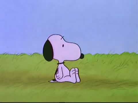Opening and Closing to Be My Valentine, Charlie Brown 2003 DVD [True HQ; 1080p60]