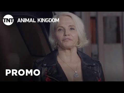 Animal Kingdom: Jackpot - Season 3, Ep. 11 [PROMO] | TNT