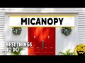 Top Things To See Do In Micanopy Florida