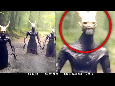Top 10 Disturbing Discoveries Found Deep in Forests