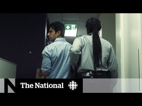 Insurance fraud that could be costing you money