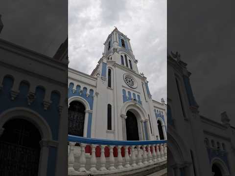 De paso por San Francisco Cundinamarca nos dieron una gran bienvenida estos angelitos de 4 patas