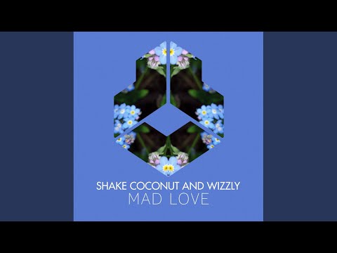 Mad Love (Original Mix)