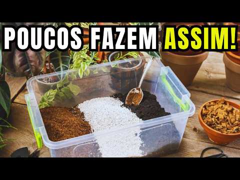 Como Preparar o Solo para o Plantio
