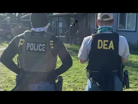 Siembra NC works to combat misinformation about ICE activity