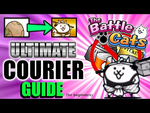How to Get COURIER CAT in the BEGINNER PHASE! (Battle Cats)