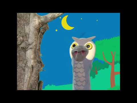 Jordan’s Sound Effects Compilation No.178:SINGLE CRICKET CLOSE UP WITH CHORUS IN BACKGROUND