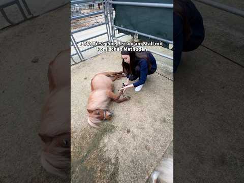 Habt ihr besondere Methoden?✨😂 @heyhorse9017  #horse #equestrian #fail #pony #pov
