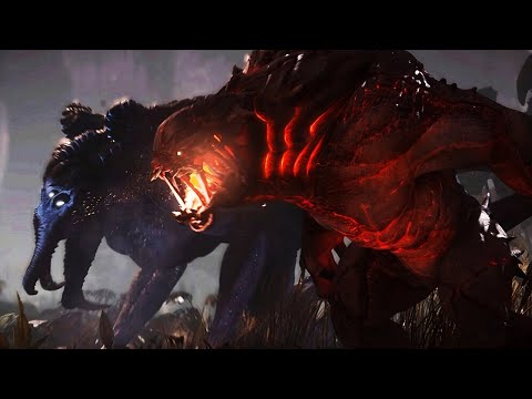 Revisiting Evolve Stage 2 In 2024