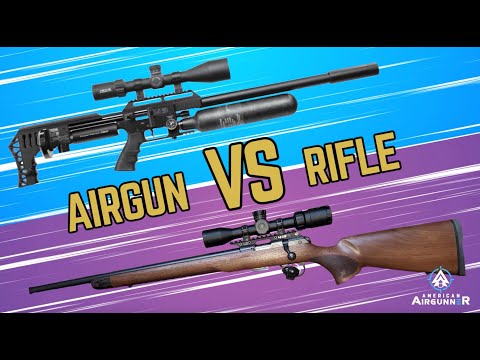 Airgun vs .22 Rimfire | American Airgunner