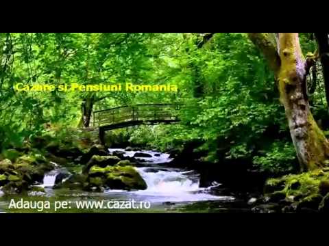 Cazare Rusi Ciutea, Bacau - Cazat.ro