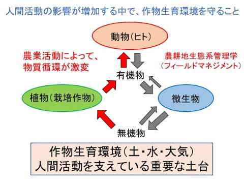 植物生育環境学とは【農芸化学コース】農林海洋科学部