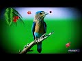 Good Morning Video