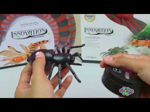 Giant Scolopendra Creepy Crawlers Spider Crab Innovation Toys Collection