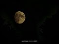 Marshmello ft. khalid - Silence  ( sped up + reverb )