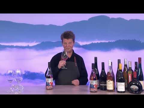 Wein des Monats - August 2023 - Weingut Wildner