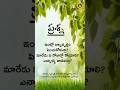 ఇంట్లో బిల్వ వృక్షం పెంచుకోవచ్చా మార
