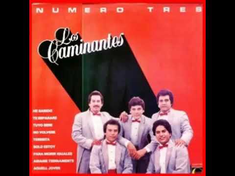 Los Caminantes Solo Estoy