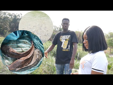 Am the Best Fish Farmer in Ghana now - Kyinkyinaa Twan tours with Ama B in his FARM