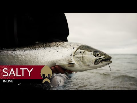 Salty Inline - Seatrout Lures | Westin Fishing