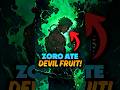 Zoro Getting Devil Fruit In Elbaf One Piece Theory Onepiece Shorts