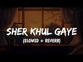Fighter - Sher Khul Gaye | Slowed+Reverb