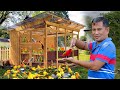 1 Year Ago I Started My Lovebirds Farming Journey Secret To A Successful Lovebird Breeding