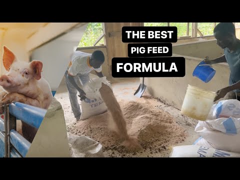 HOW TO MAKE YOU OWN CLASSIC PIG FEED - Quality for LESS