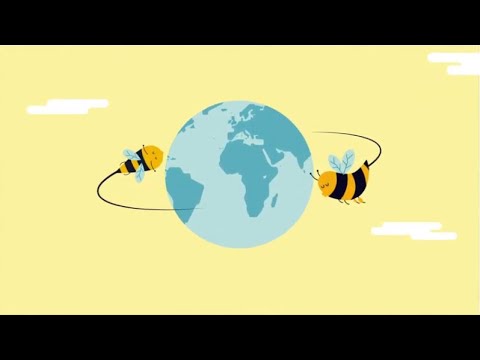 Fotograma del vídeo: PICA. Plataforma Innovadora para el Cuidado de las Abejas