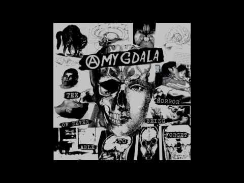 Amygdala - The Horror Of Never Being Able To Forget (Full Album)