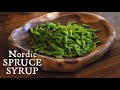 Making Nordic Spruce Syrup | Food from the forest