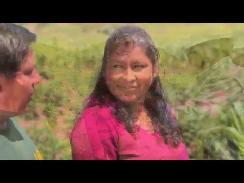 Responsabilidad Social: Compromiso de todos