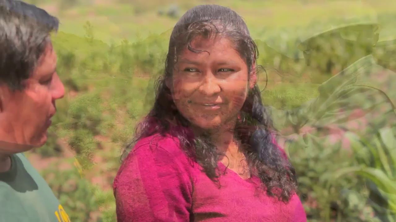 Responsabilidad Social: Compromiso de todos