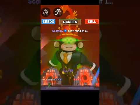 la pelea de Sammy vs Yandel💀💀