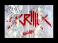 Skrillex - Right In (HD)