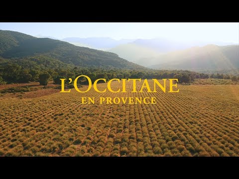 L’OCCITANE en Provence: Negócios Sustentáveis ​​são Negócios Inteligentes