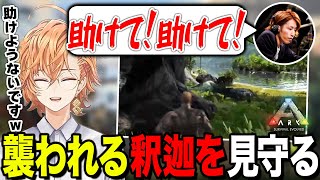 ワニに襲われる釈迦さんを見守る渋谷ハル【渋谷ハル公認切り抜き】